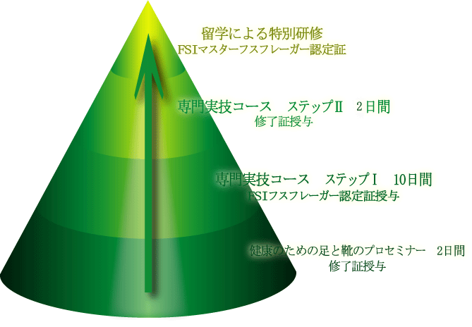 スクールカリキュラムのステップ